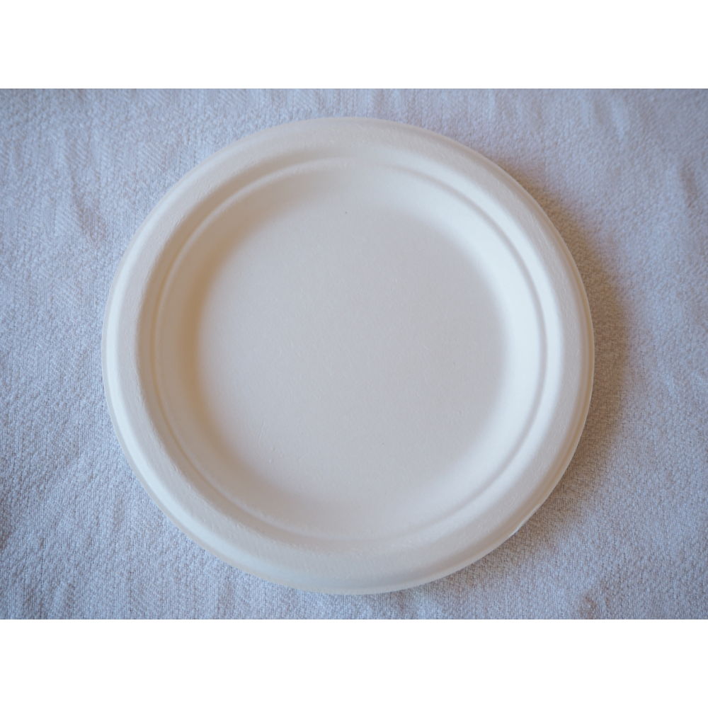 white plate x 10